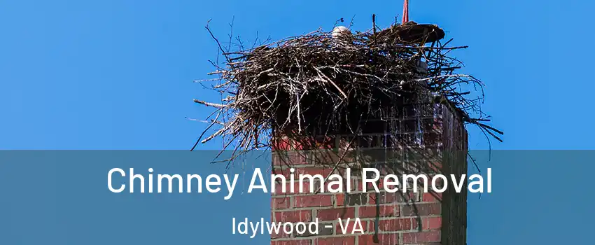  Chimney Animal Removal Idylwood - VA