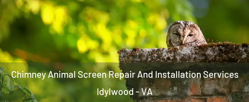  Chimney Animal Screen Repair And Installation Services Idylwood - VA