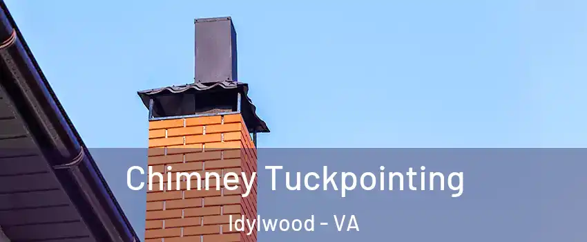  Chimney Tuckpointing Idylwood - VA