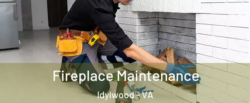  Fireplace Maintenance Idylwood - VA