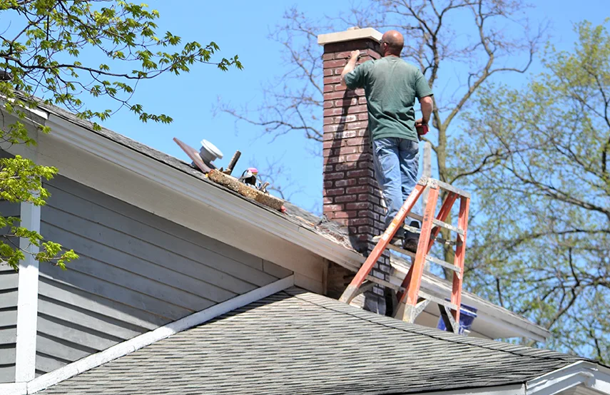 Chimney & Fireplace Inspections Services in Idylwood, VA