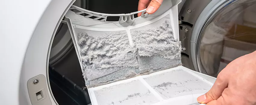 Best Dryer Lint Removal Company in Idylwood, Virginia