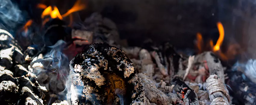 Creosote Removal Experts in Idylwood, VA