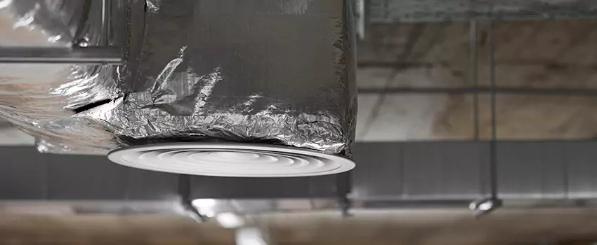 Signs of Dust Accumulation in Vents in Idylwood, VA