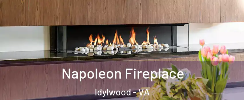  Napoleon Fireplace Idylwood - VA
