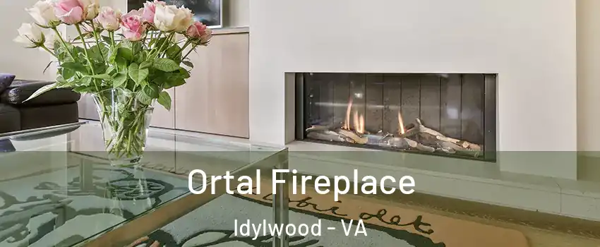  Ortal Fireplace Idylwood - VA