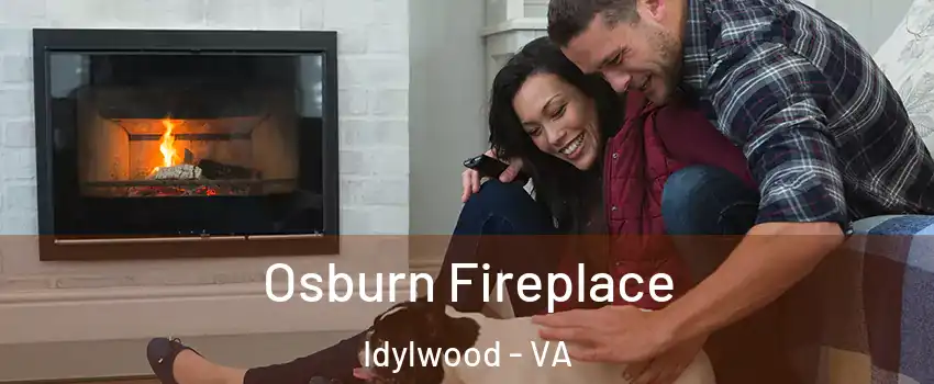  Osburn Fireplace Idylwood - VA
